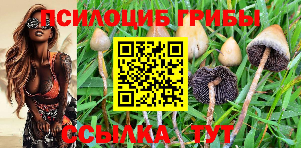 Псилоцибиновые грибы мицелий Кунгур